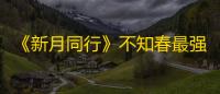 《新月同行》不知春最强配队阵容推荐